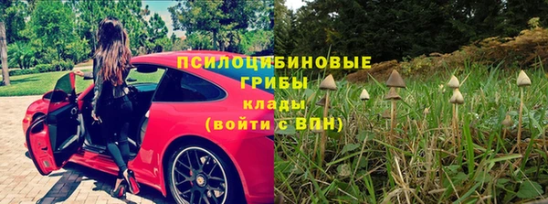 МДПВ Дмитров