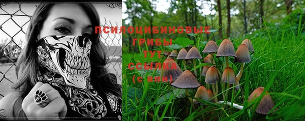 скорость Дмитриев