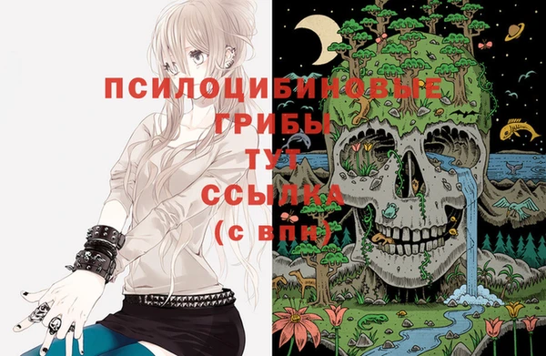 скорость Дмитриев