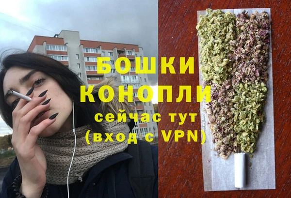 МДПВ Дмитров