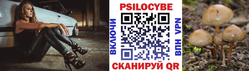 Галлюциногенные грибы Cubensis  даркнет клад  Осташков 